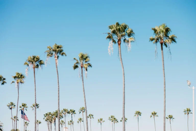 Amtrak to Los Angeles: Routes, Stations & What to Know