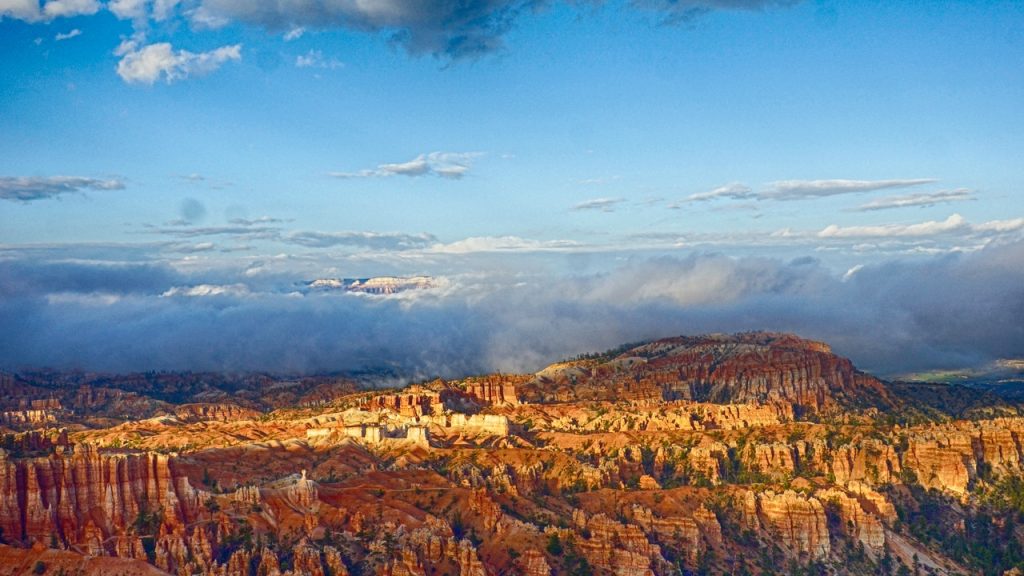 Amtrak Arizona 